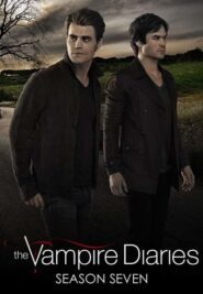 Image The Vampire Diaries