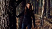 Image The Vampire Diaries